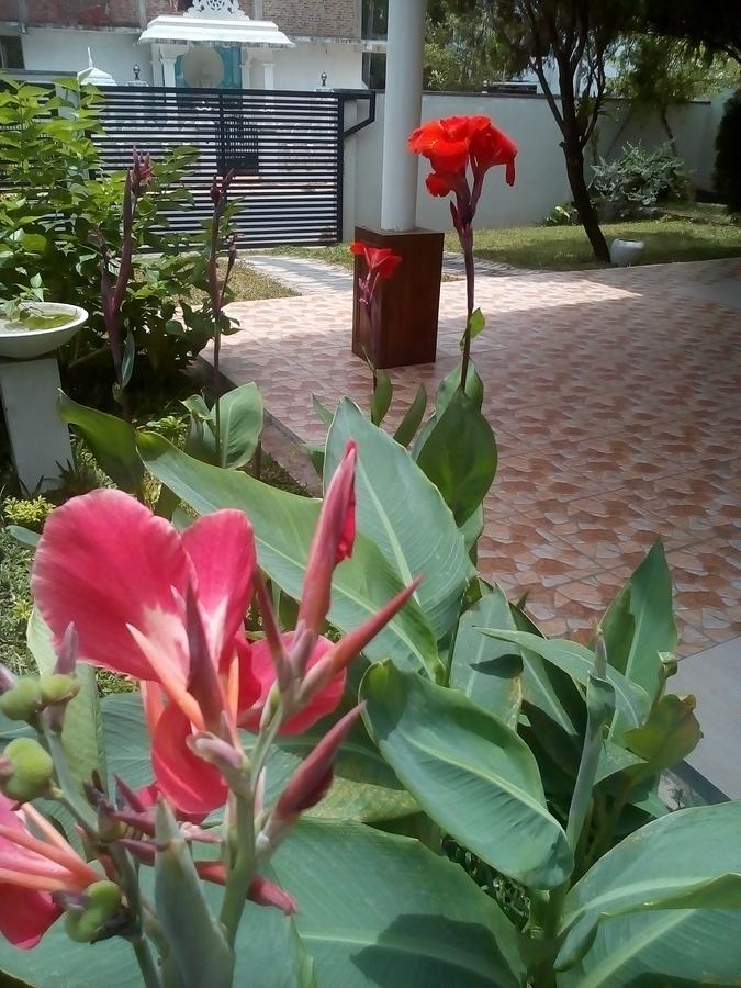 Villa 26 Bope Esterno foto